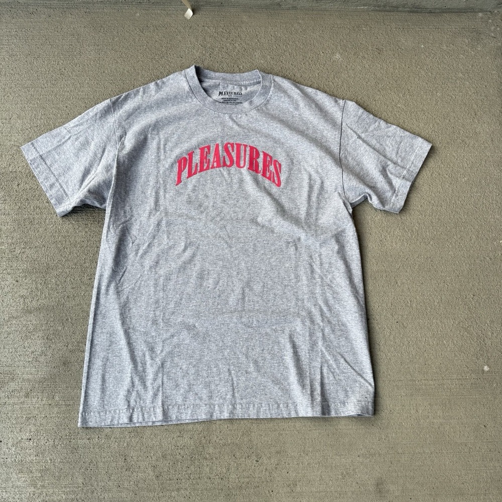 Pleasures Surprise Graphic T Shirt‎ Mens Large Grey Streetwear